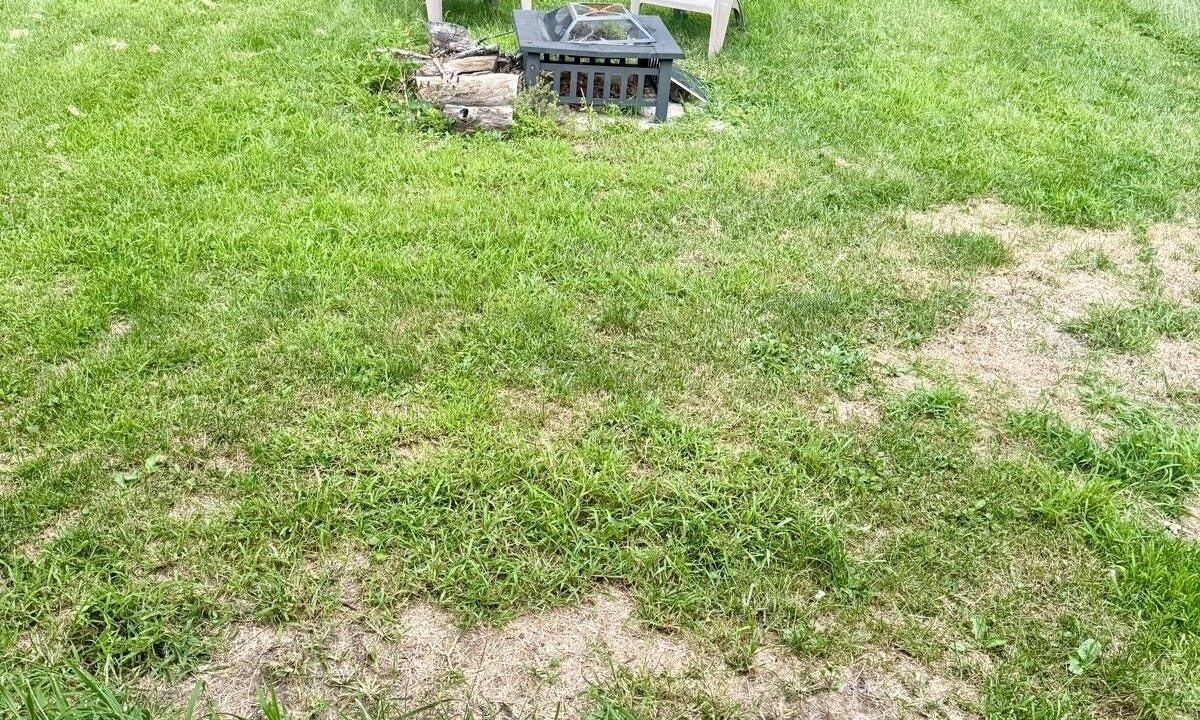 Photo of Outdoor in Westland