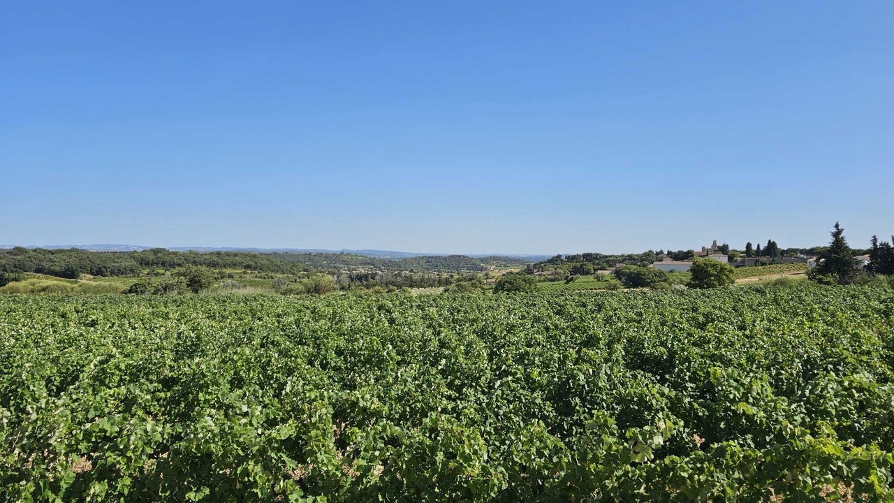 Photo of Others in Estezargues