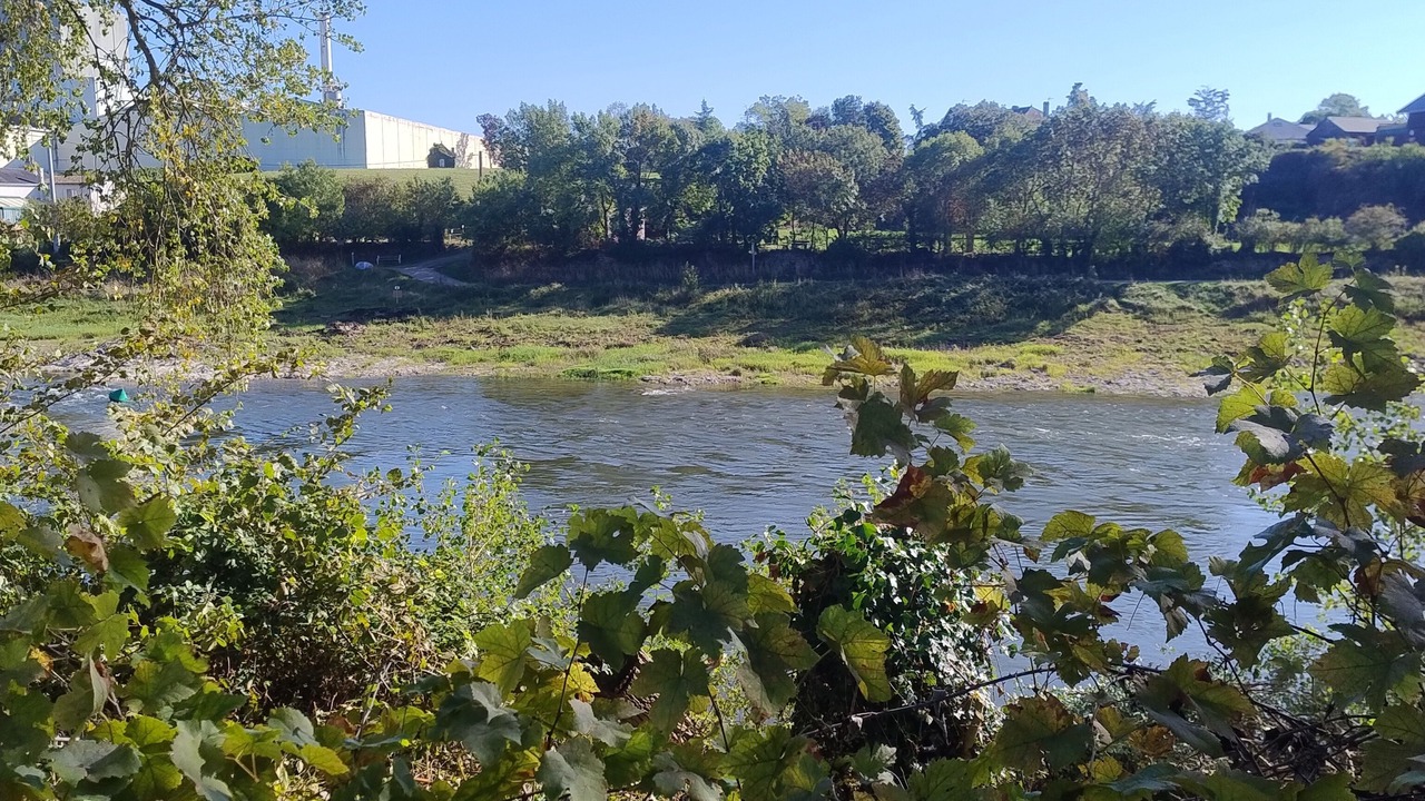 Photo of Others in Saint-Florent-le-Vieil