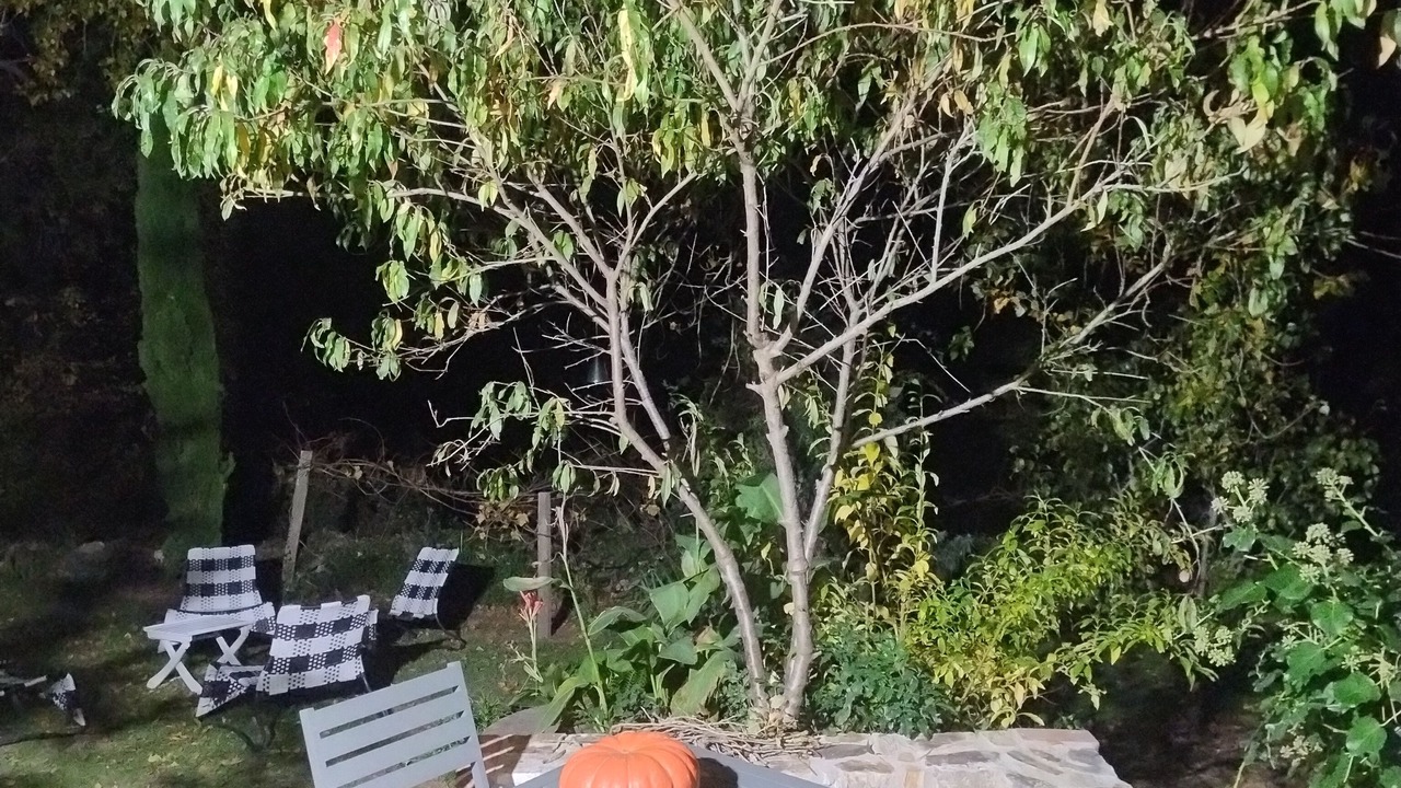 Photo of Outdoor in Saint-Florent-le-Vieil