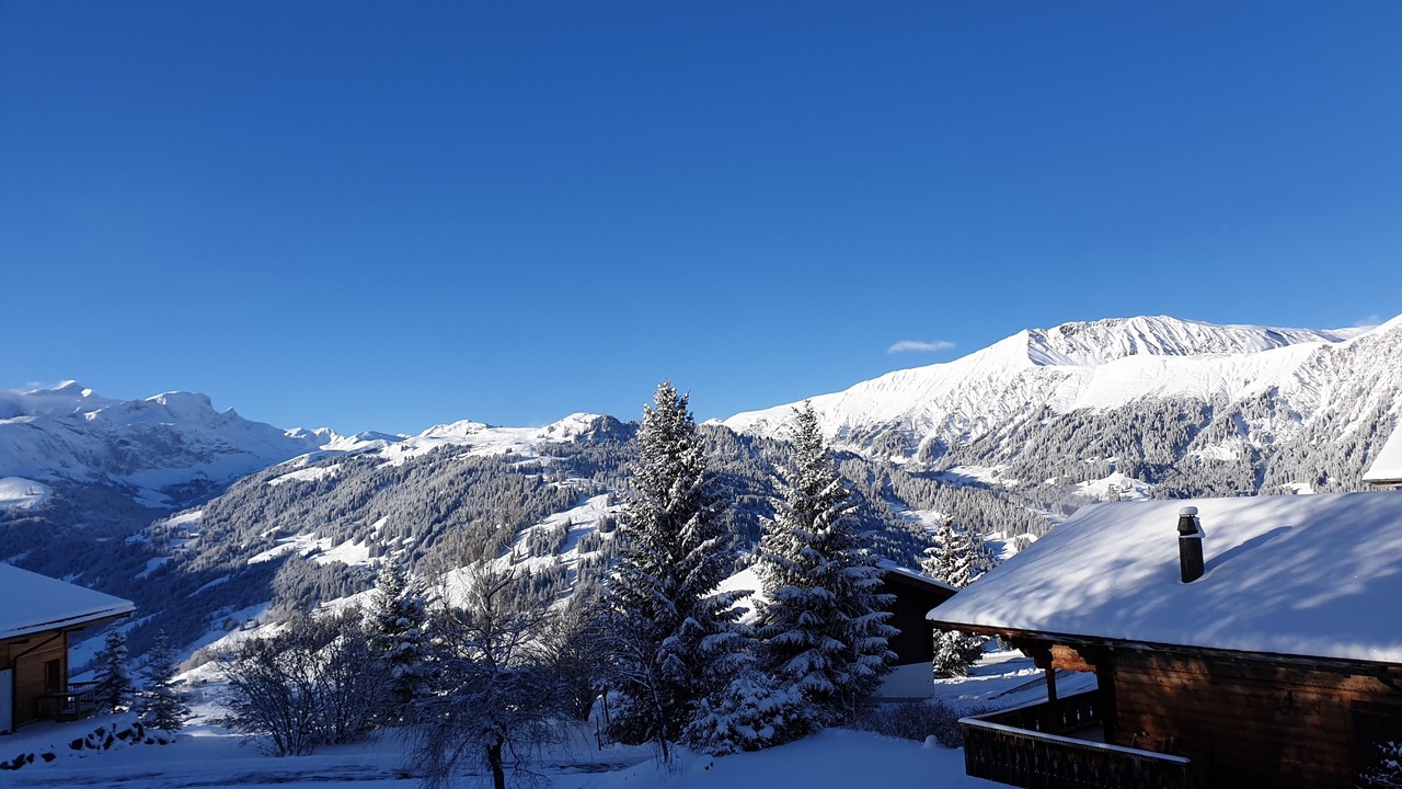 Photo of Others in Lenk