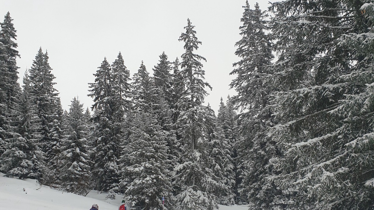 Photo of Others in Lenk