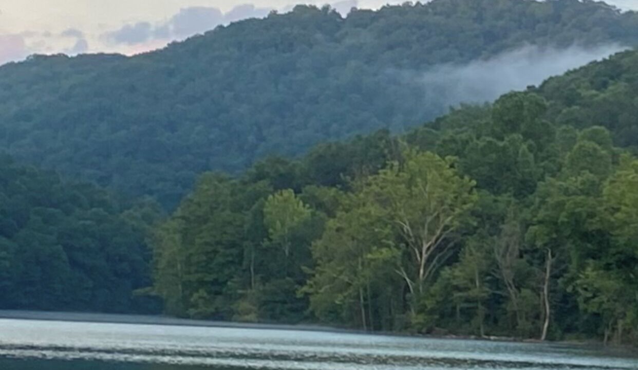 Photo of Others in Speedwell