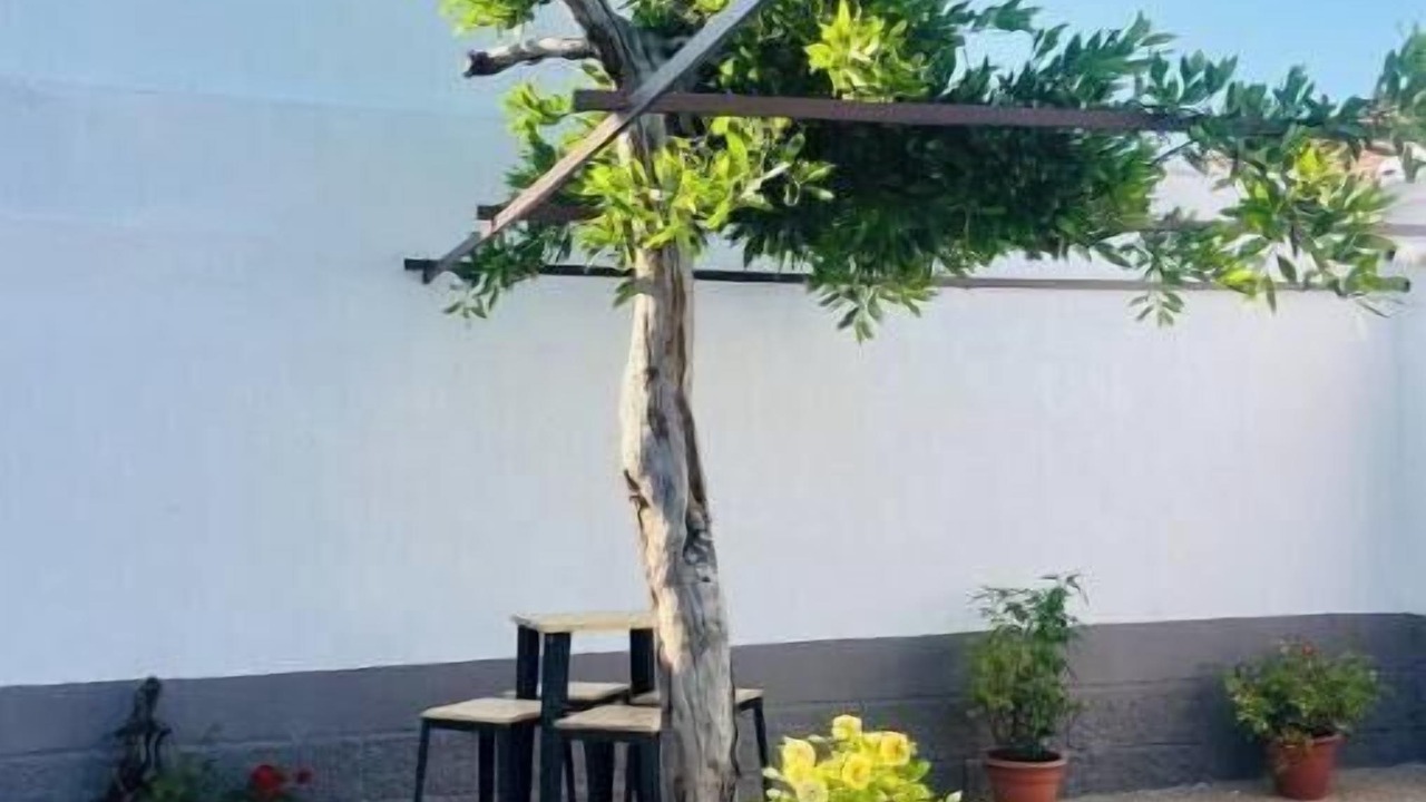 Photo of Patio Balcony in Polan
