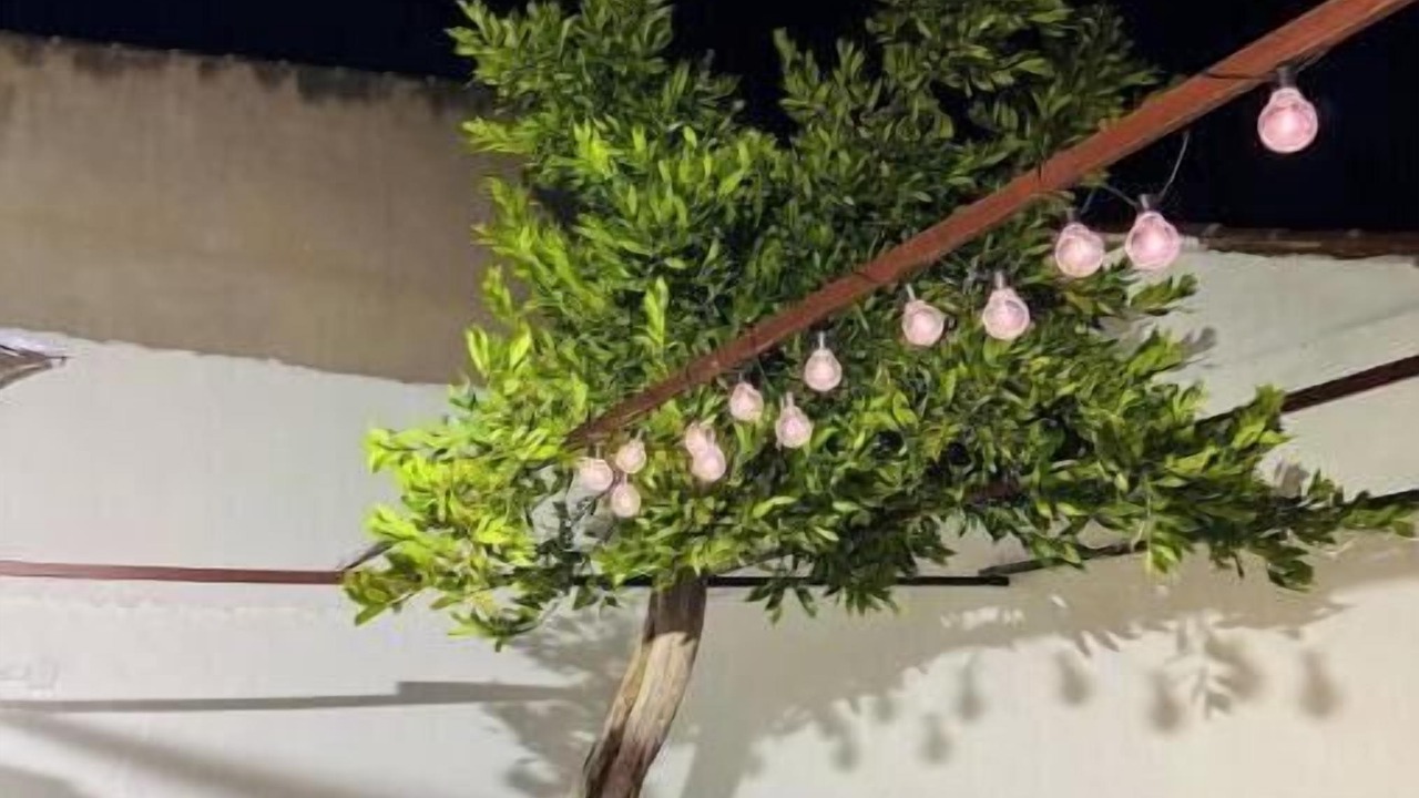 Photo of Patio Balcony in Polan