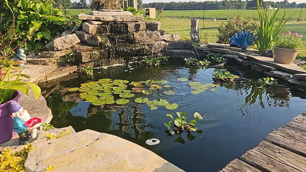 Photo of Outdoor in Rodney