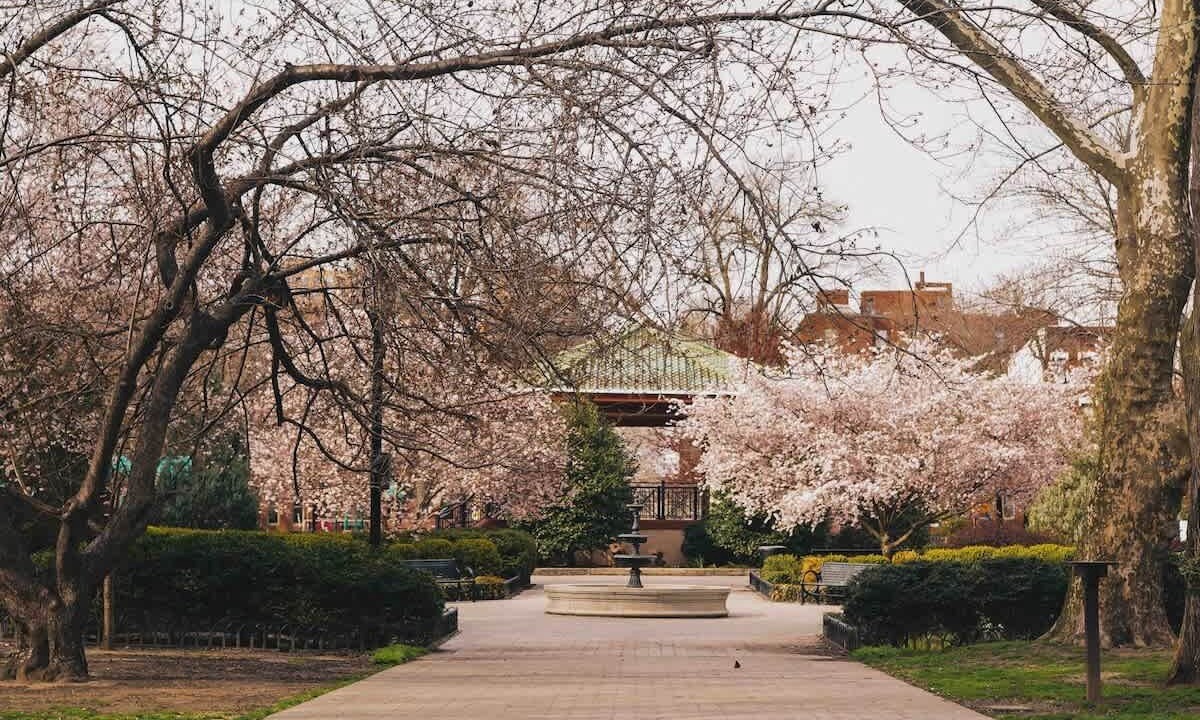 Photo of Others in Harsimus Cove