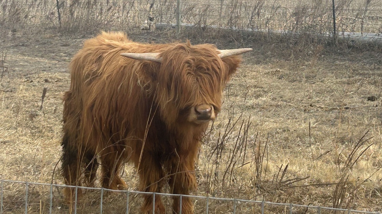 Photo of Others in Lincoln County