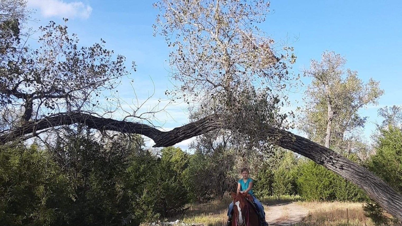 Photo of Others in Lincoln County