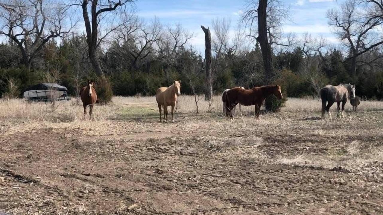 Photo of Others in Lincoln County