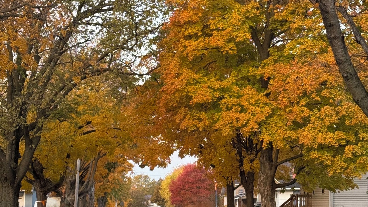 Photo of Outdoor in Wayland