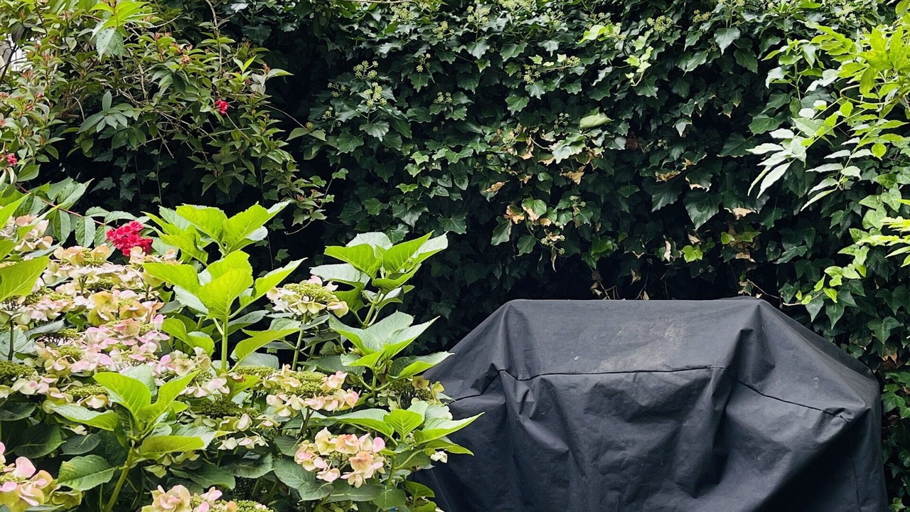 Photo of Outdoor in Hellerup