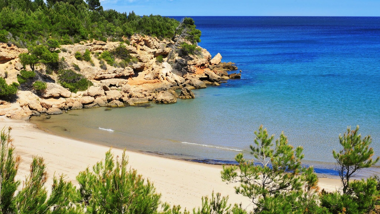 Photo of Others in Calafat