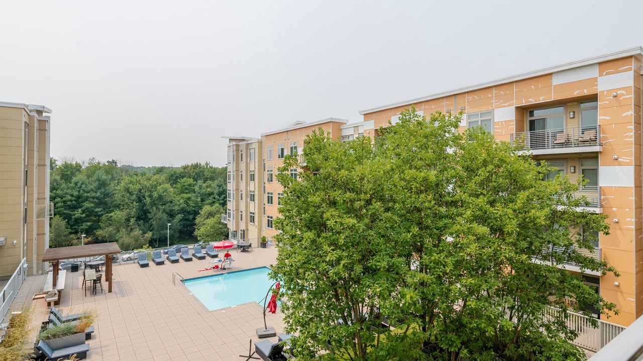 Photo of Outdoor in Waltham