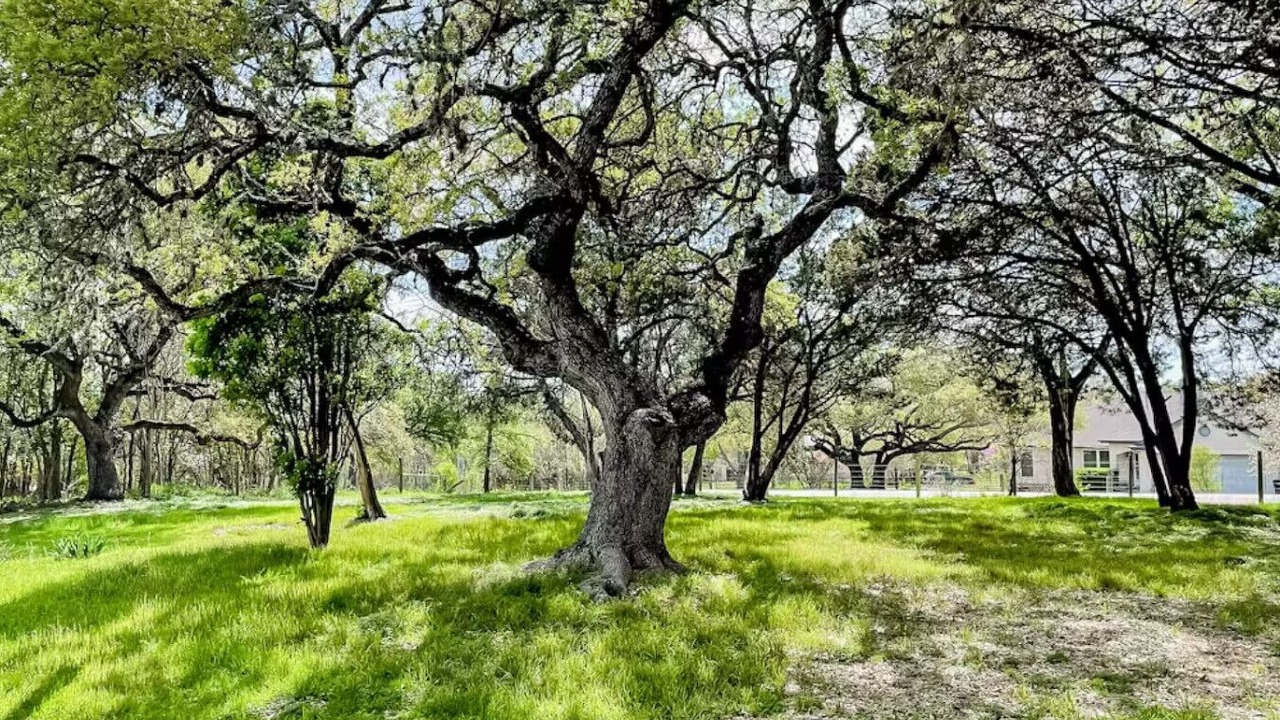 Photo of Outdoor in Slaughter Creek Acres
