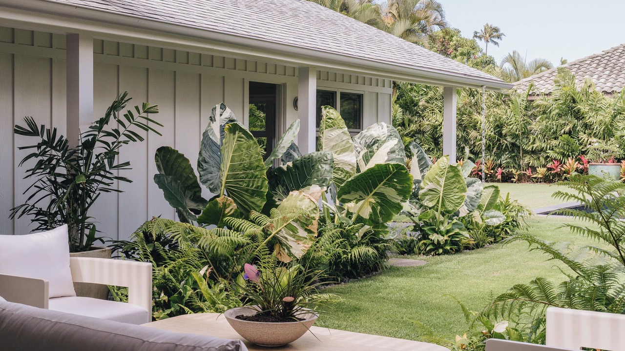Photo of Outdoor in Honolulu