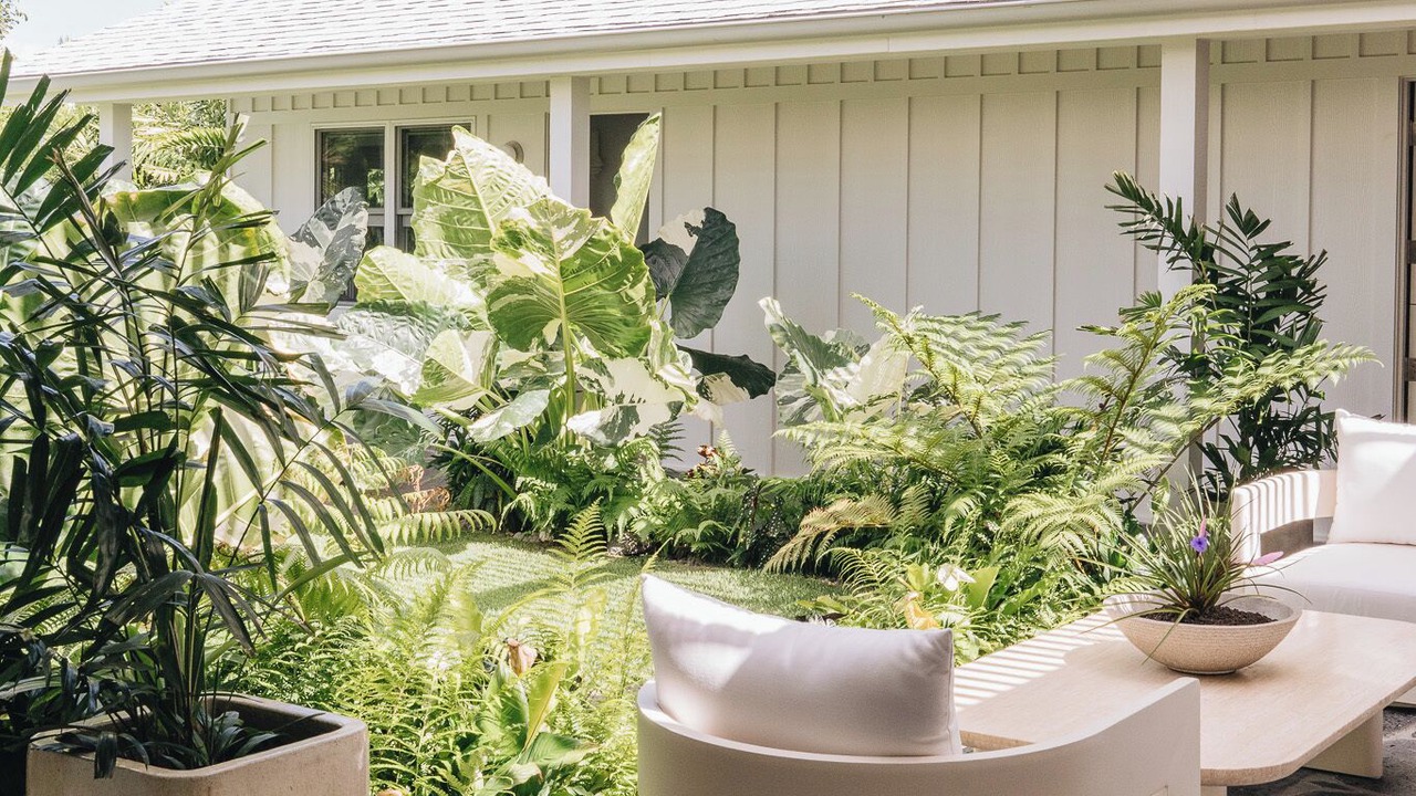 Photo of Patio Balcony in Honolulu
