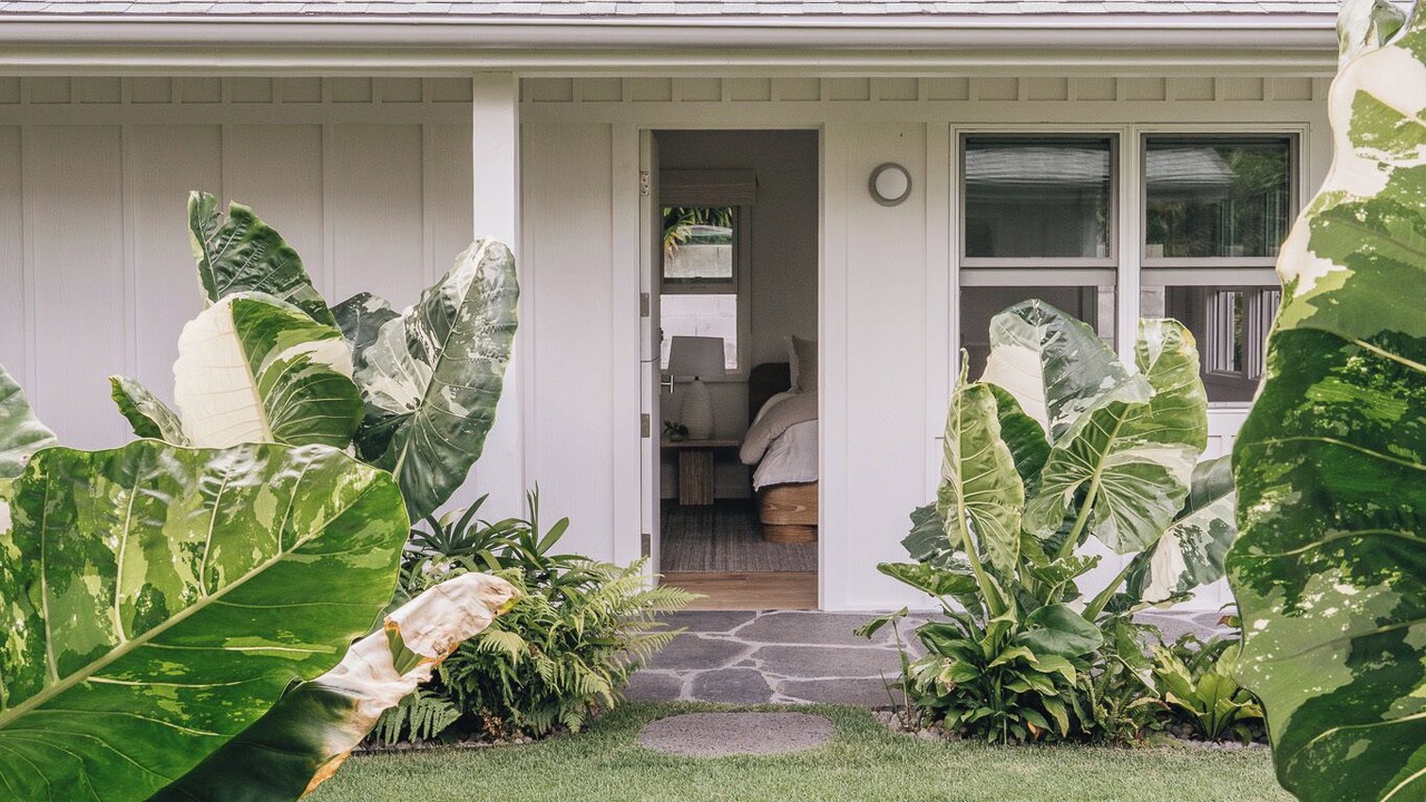 Photo of Outdoor in Honolulu