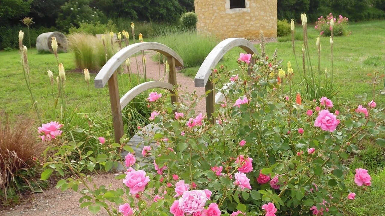 Photo of Outdoor in Roeze-sur-Sarthe