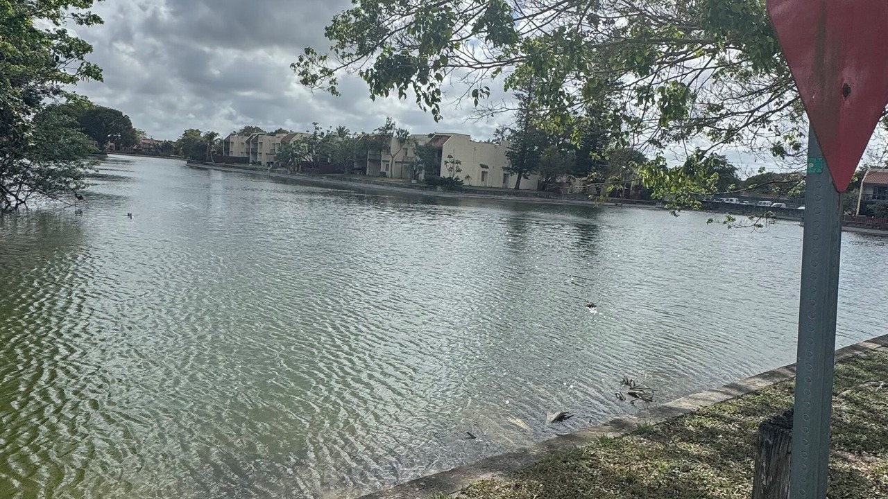 Photo of Others in Lauderhill
