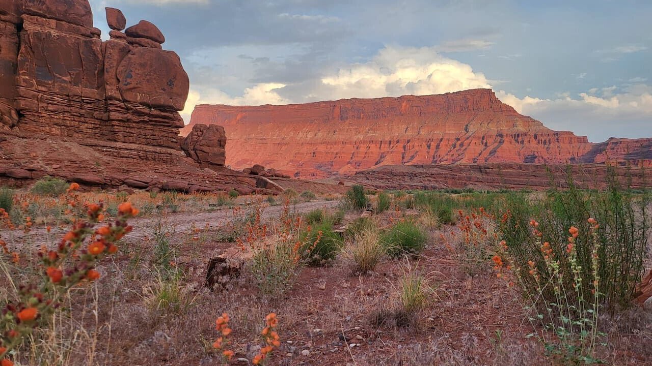 Photo of Others in Moab
