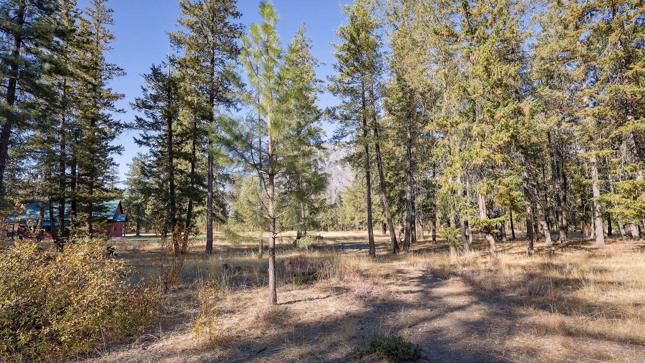 Photo of Others in Mazama