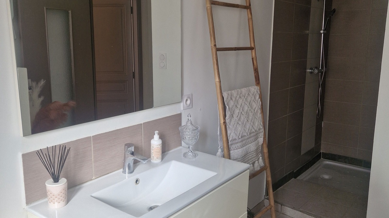 Photo of Bathroom in Saint-Martin-de-Villereglan
