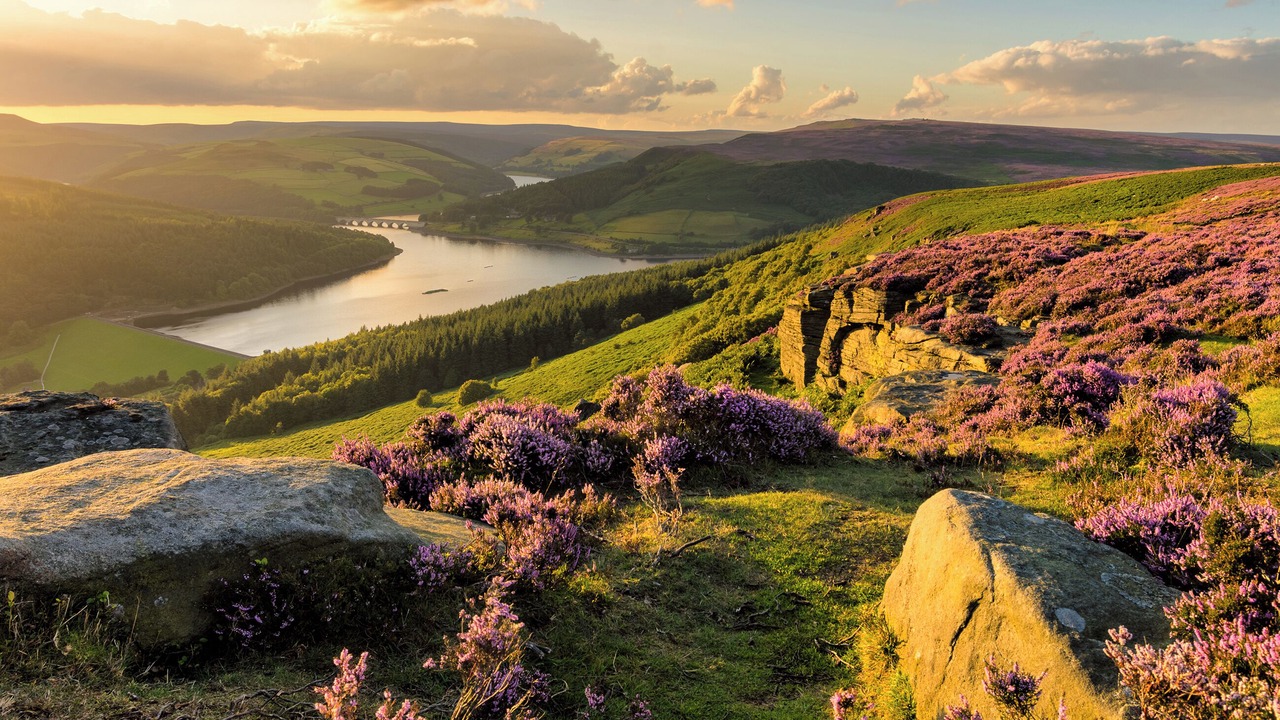 Photo of Others in Earl Sterndale