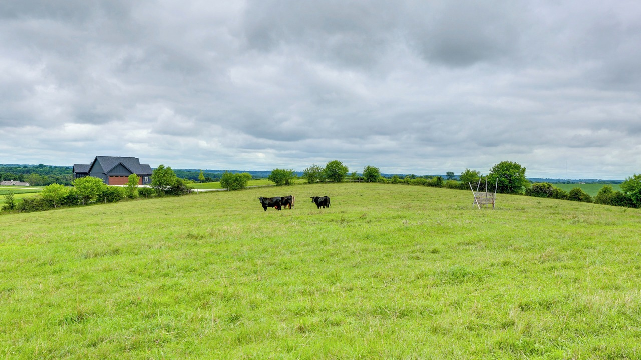 Photo of Others in Mount Horeb