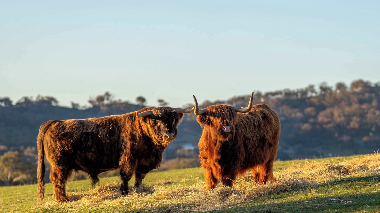 Photo of Others in Warrenmang