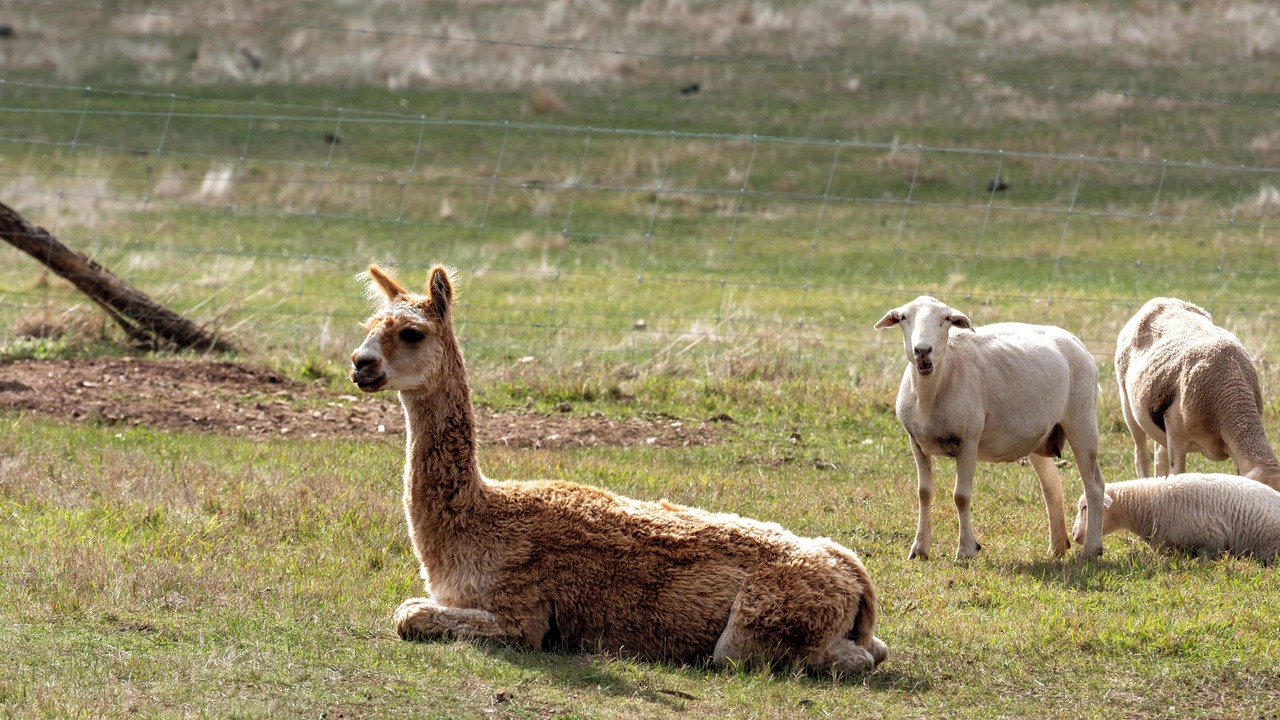 Photo of Others in Warrenmang