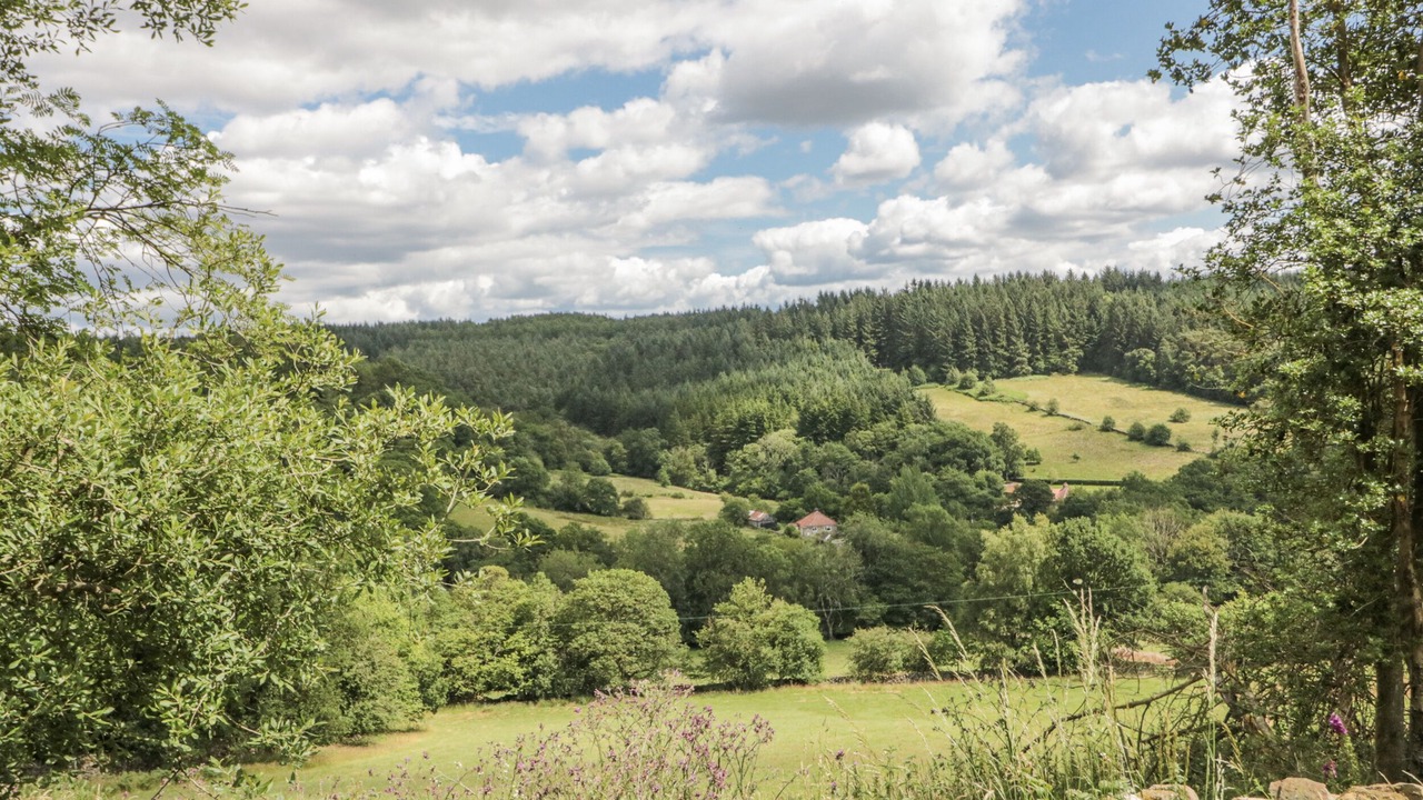 Photo of Others in Hartoft