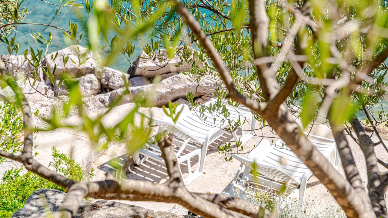 Photo of Outdoor in Janjina