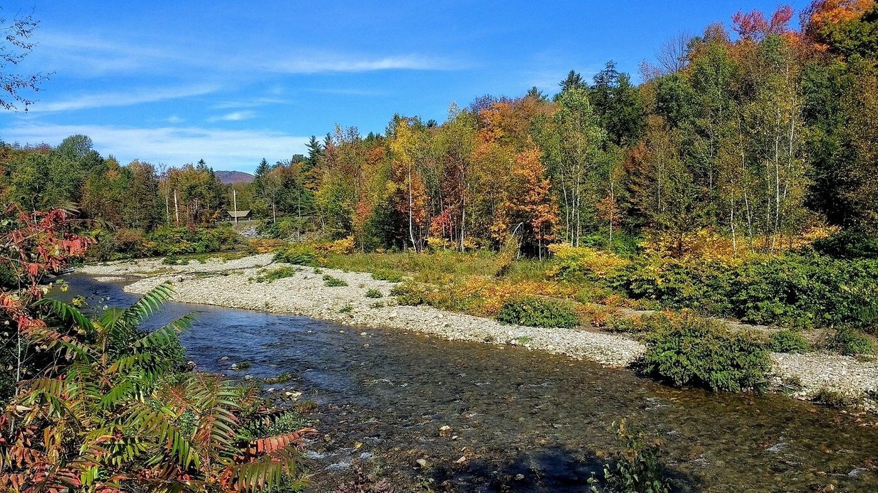 Photo of Others in Stowe Area