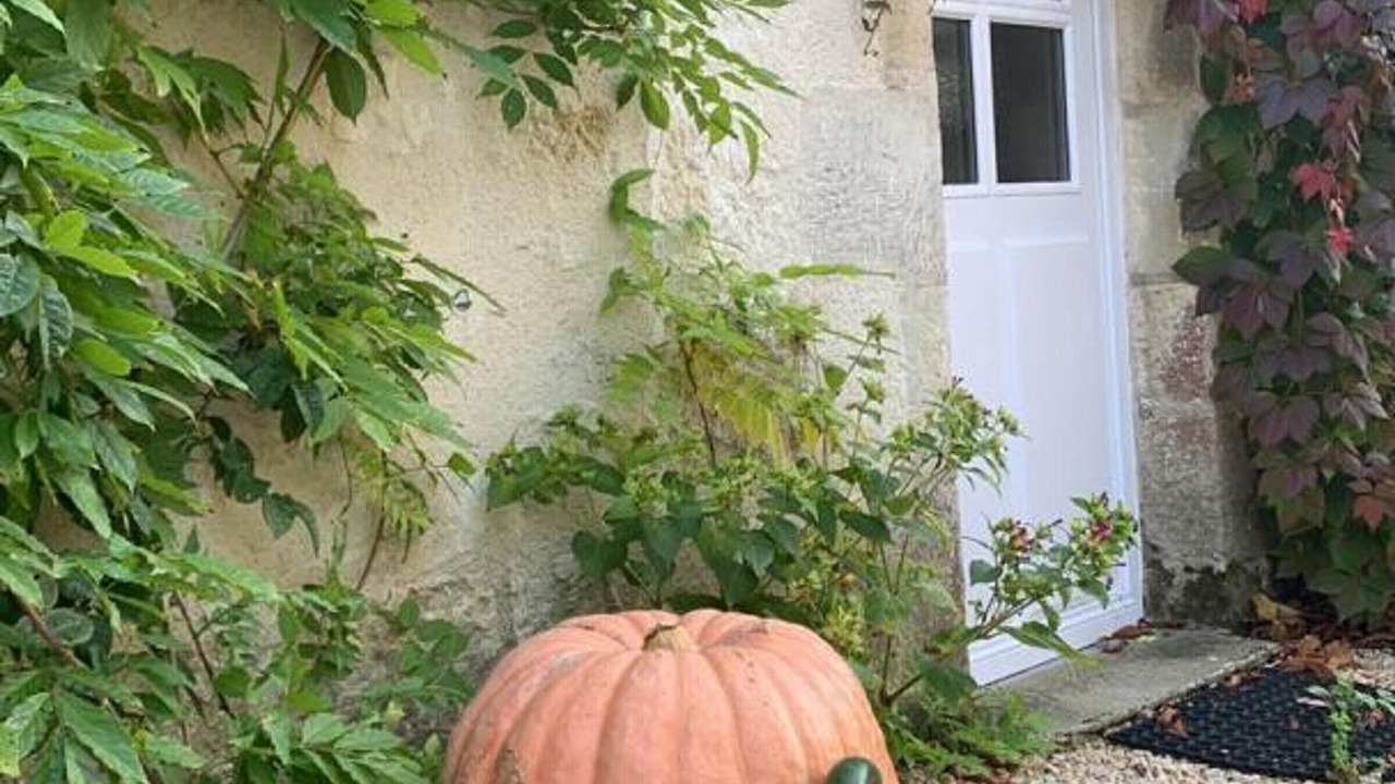 Photo of Outdoor in Sainte-Maure-de-Touraine