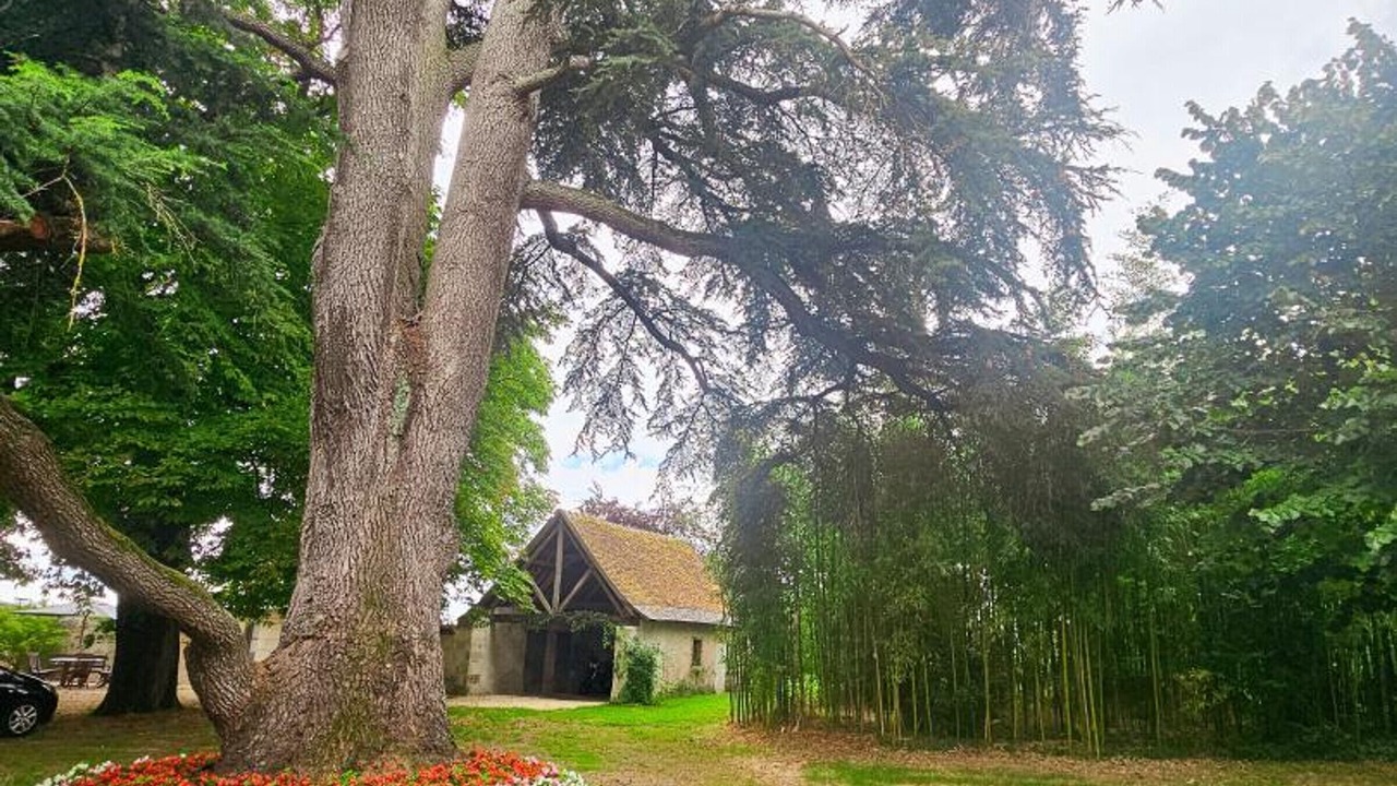 Photo of Outdoor in Sainte-Maure-de-Touraine