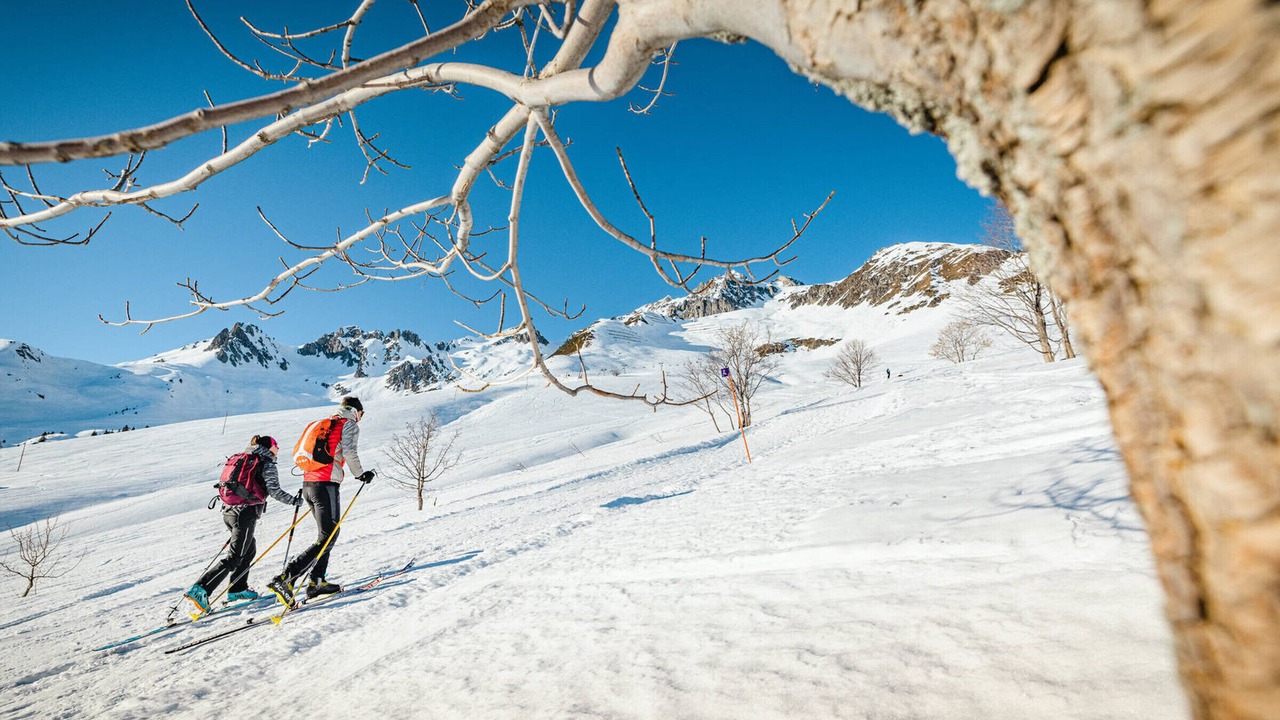 Photo of Others in Montgellafrey