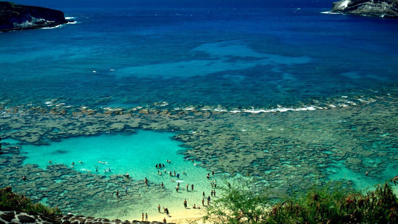 Photo of Others in Kapolei