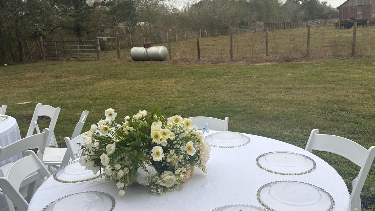 Photo of Outdoor in Lissie
