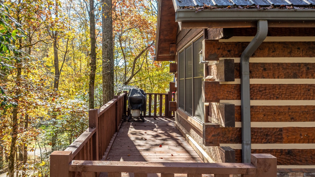 Photo of Outdoor in Ellijay