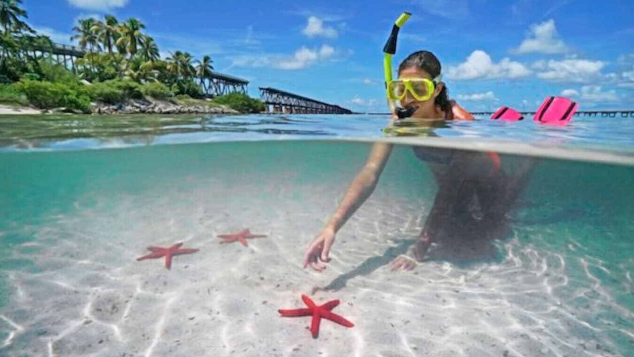Photo of Others in Sugarloaf Key