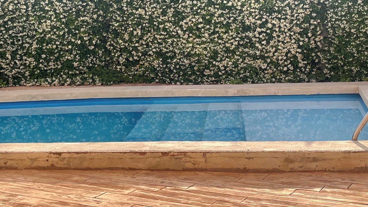 Photo of Outdoor in Requena