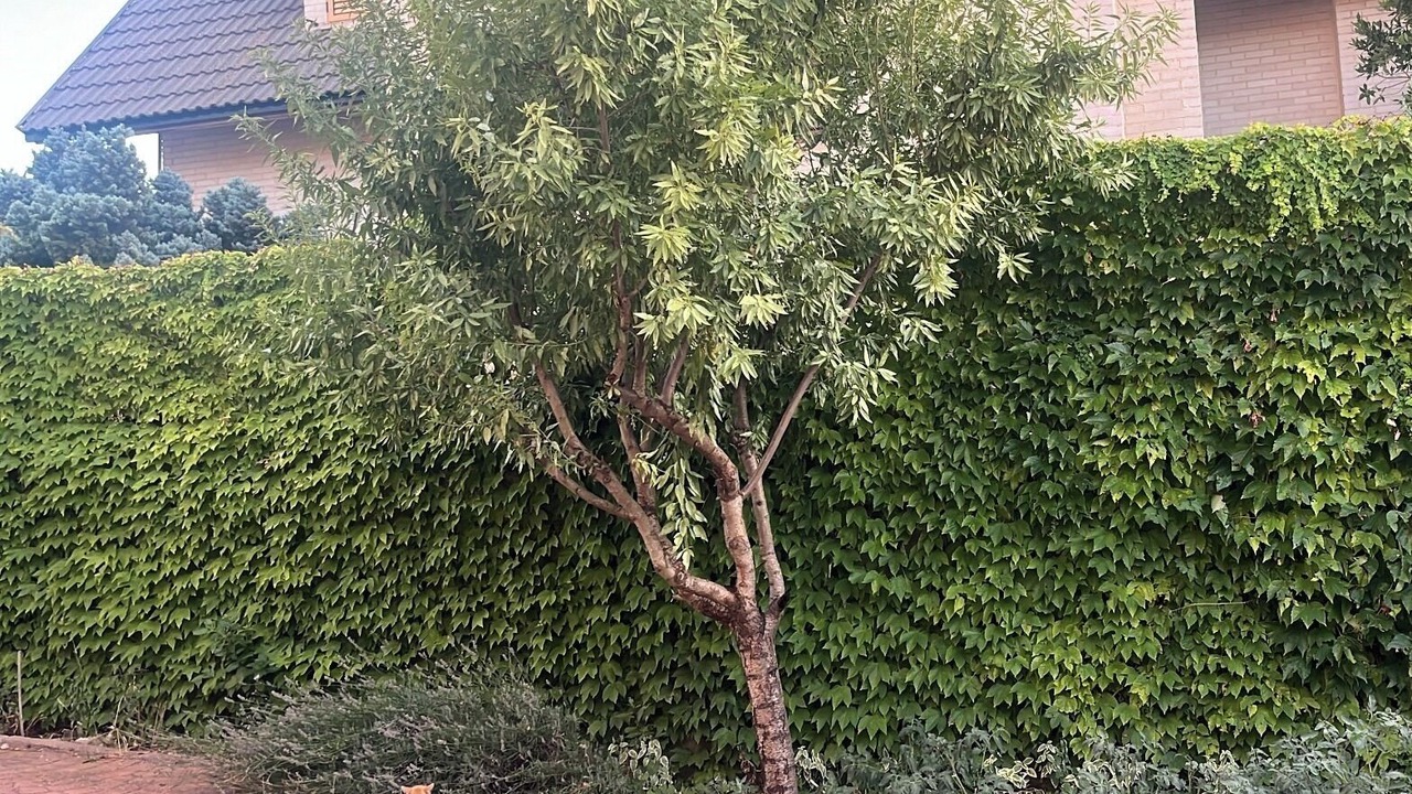 Photo of Outdoor in Requena