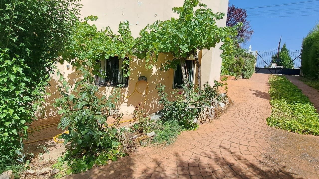 Photo of Outdoor in Requena