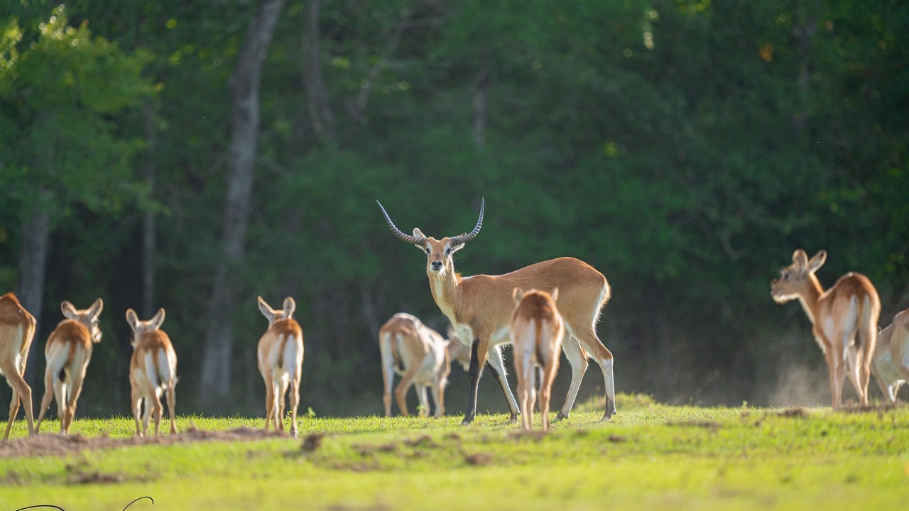 Photo of Others in Bryan