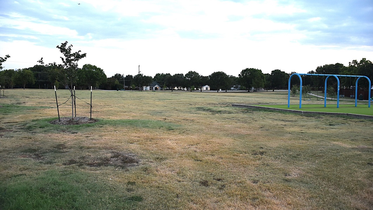 Photo of Others in Flower Mound