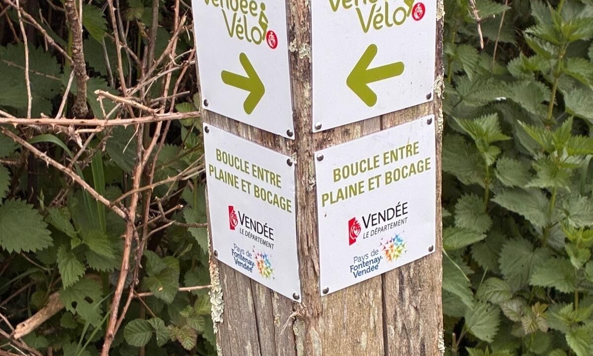 Photo of Others in Saint-Martin-des-Fontaines