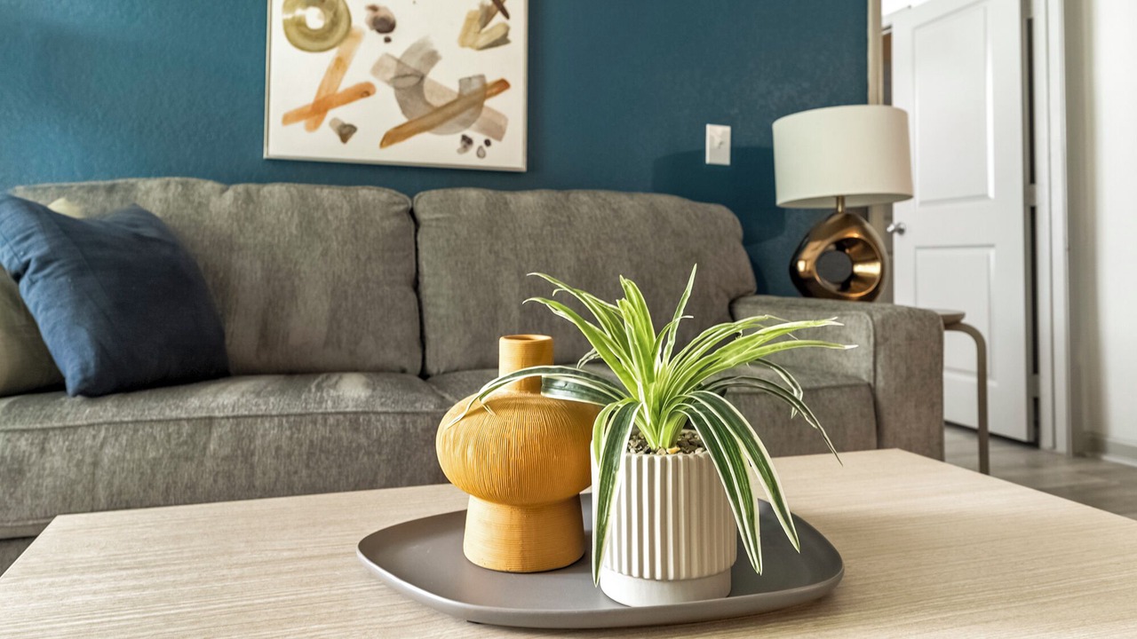 Photo of Livingroom in Paw Creek