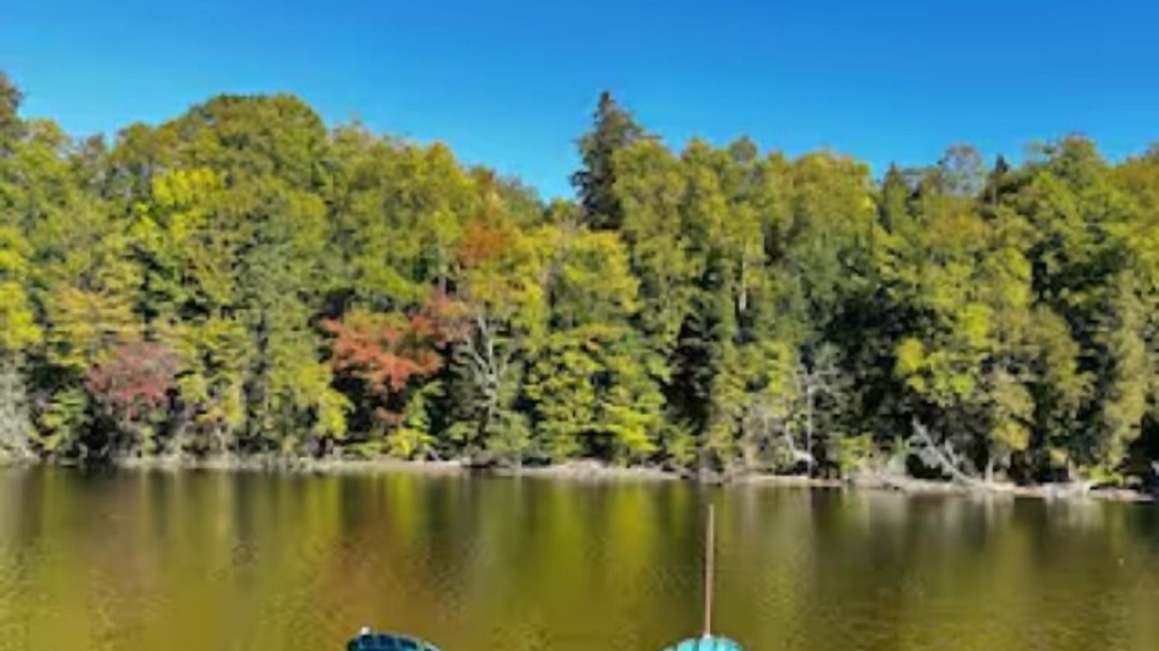 Photo of Outdoor in Batchawana Bay