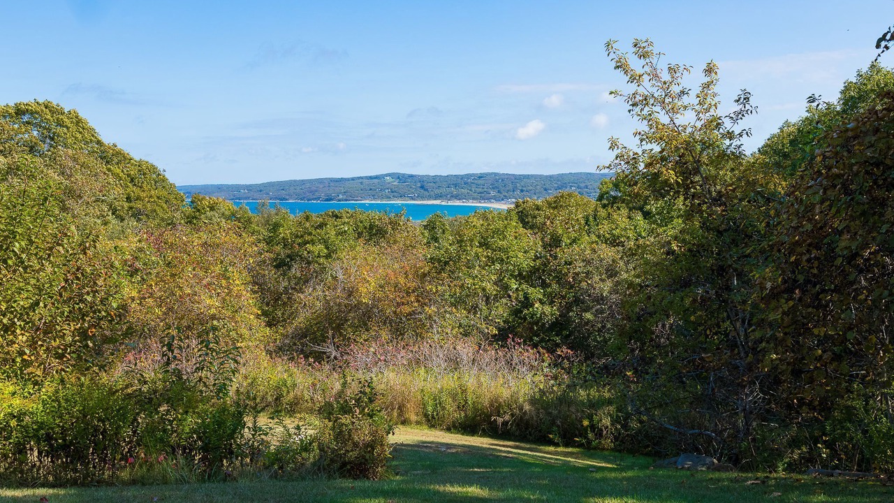 Photo of Others in Aquinnah